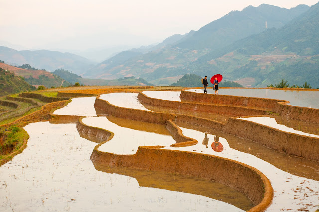 Photo tour mùa nước đổ trên ruộc bậc thang