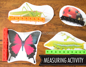 Insect Theme Printables: SAFARI TOOB INSECT Extension Activities