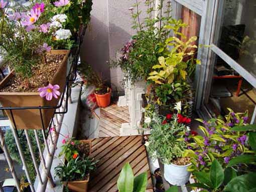 balcony garden ideas Small Apartment Balcony Garden Ideas | 510 x 383