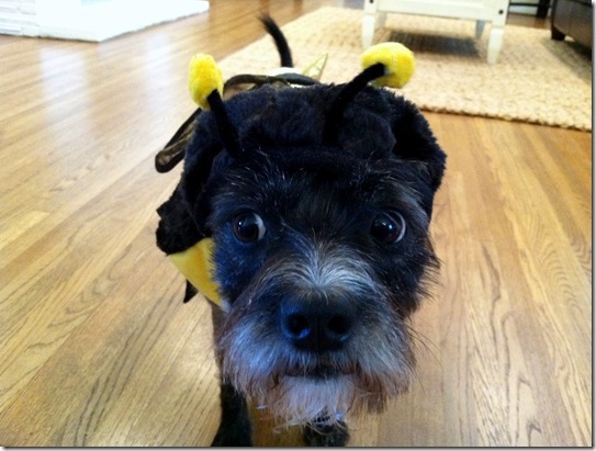 June_Halloween_2011