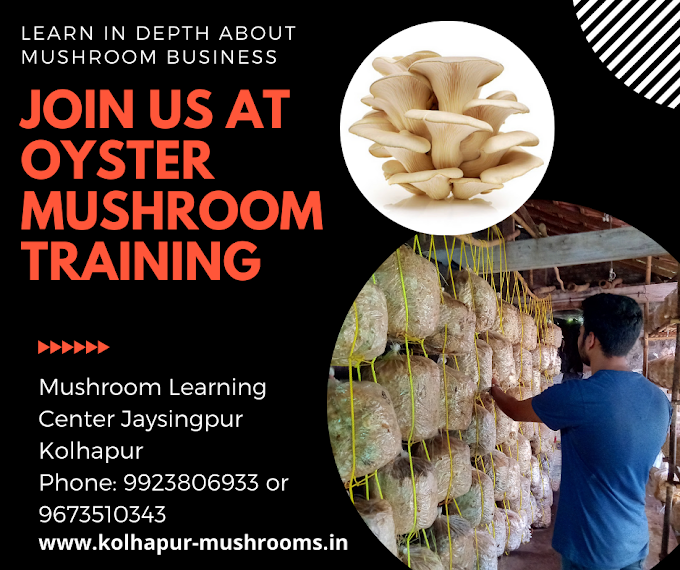 Oyster Mushroom Training | 24 January 2021 | Oyster Mushroom Cultivation Workshop