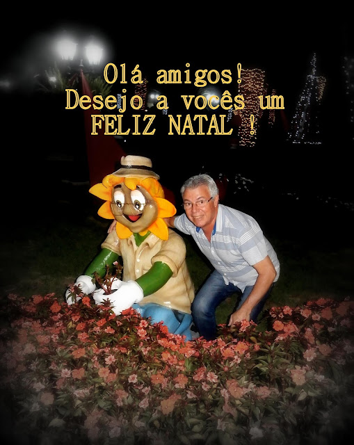 Mário Franco - Natal em Holambra 2022