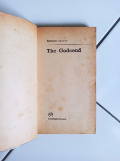 The Godsend by Bernard Taylor