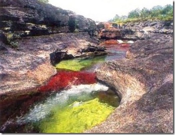 columbia-river-cano-cristales-4