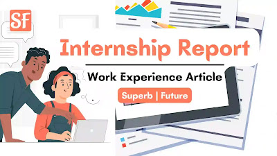 Internship Report │ Work Experience Article