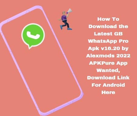 download latest gb whatsapp pro