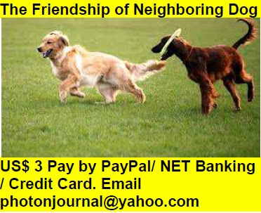  The Friendship of Neighboring Dog Book Store Harvard Book Fair Amazon Books eBay Book  Book Store Book Fair Book Exhibition Sell your Book Book Copyright Book Royalty Book ISBN Book Barcode How to Self Book 