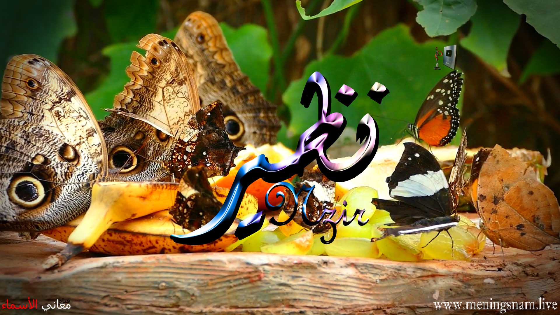 معنى اسم, نظير, وصفات حامل, هذا الاسم, Nazir,