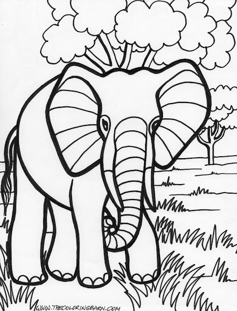 Elephant Coloring Pages Coloring For Kids Coloring For