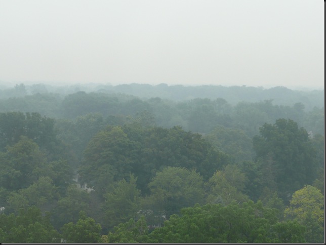 fog on burnhamthorpe
