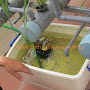 CÓ NÊN TỰ PHA DUNG DỊCH TRỒNG RAU THỦY CANH