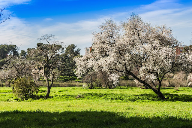 Parque Quinta de Torre Arias