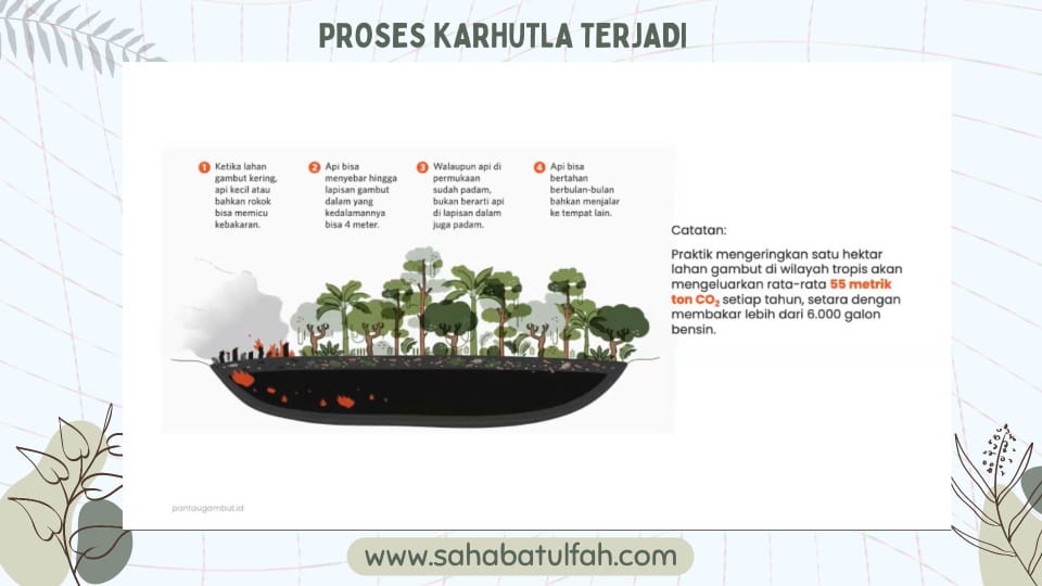 Proses-hutan-dan-lahan-gambut-Indonesia-terbakar