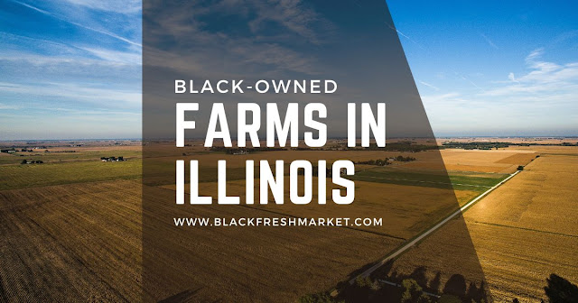 Black Owned Farms In Illinois