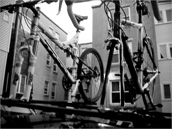 IMG01956-20100516-0507