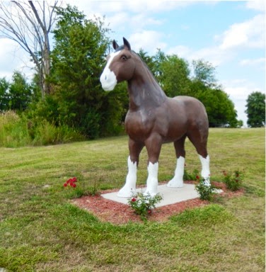 SomeofourneighborsareHorses-4-2013-08-17-10-20.jpg