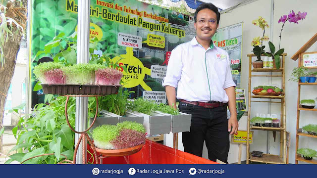 Jogja – Mengusung konsep organik milenial, Robaeli Ndruru menjadikan kegiatan bertani menjadi aktivitas yang menyenangkan. Dia mengembangkan teknik micro greens, vertical garden, dan aquaponic.