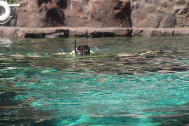 Disney's Aulani Resort, Hawaii