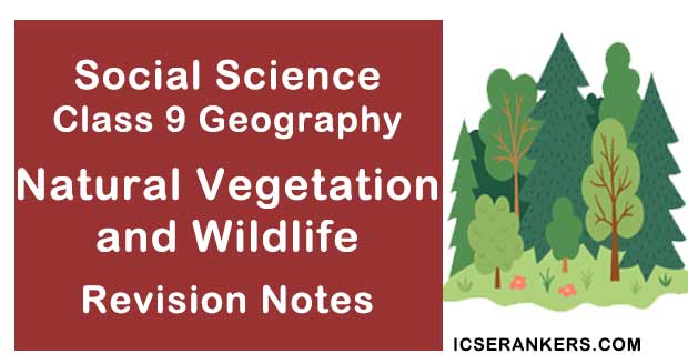 NCERT Notes for Class 9 Social Science Geography Chapter 5 Natural Vegetation and Wildlife