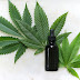 Why Is CBD A Magical Supplement?