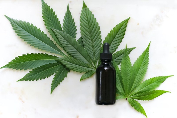 Why Is CBD A Magical Supplement?