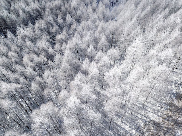 Belíssimas imagens do Inverno no Japão