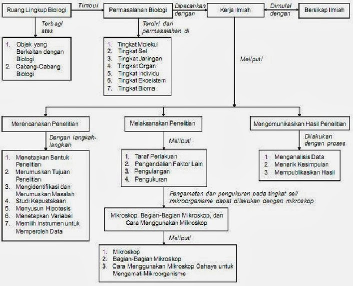 BIOLOGI GONZAGA: RUANG LINGKUP BIOLOGI