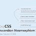 Accordion Neumorphism with HTML and CSS || @Rayen-Code
