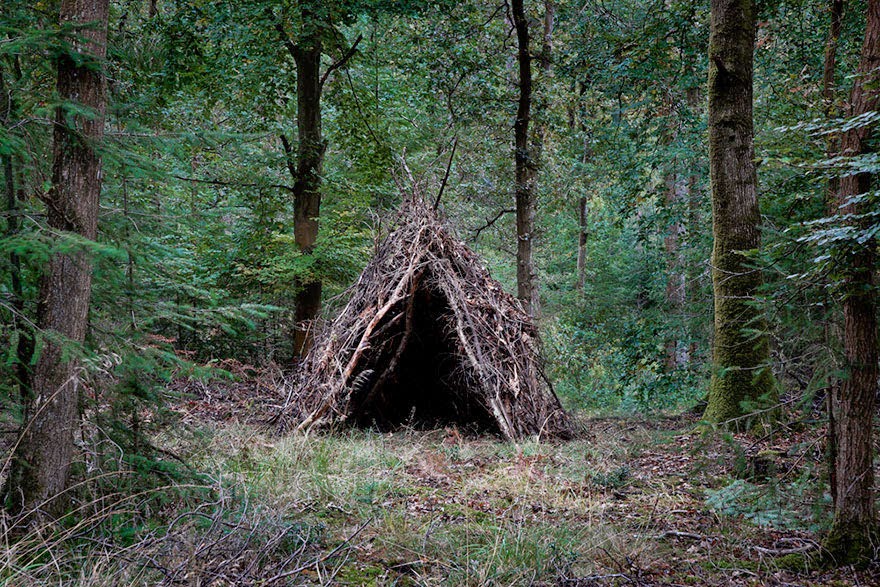 Artist Has Spent 7 Years Turning UK Forests Into Works Of Art