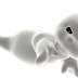 halloween imágenes en png con fondo transparente 