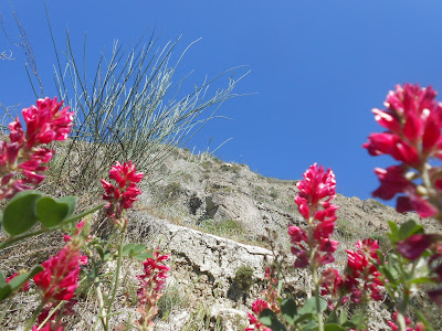 itinerari mtb appennino