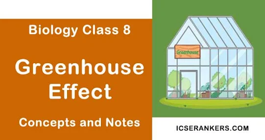 Greenhouse Effect- Class 8 Science Guide