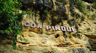 Wisata Goa Pindul