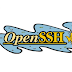 OpenSSH 8.0 esta disponible para probar y detectar errores antes de ser liberada