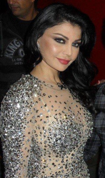 I know Haifa Wehbe the arabic singer always wears his clothes shoul be 