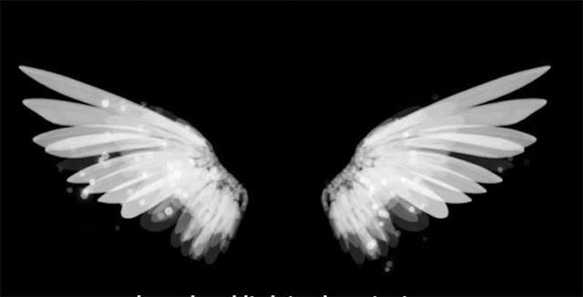 angel wings white on black background