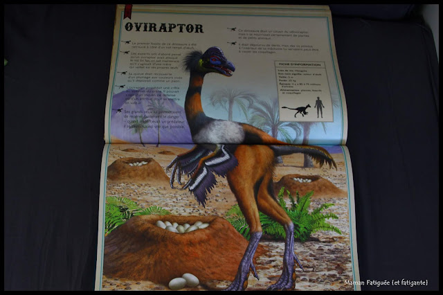 livre extraordinaire dinosaures