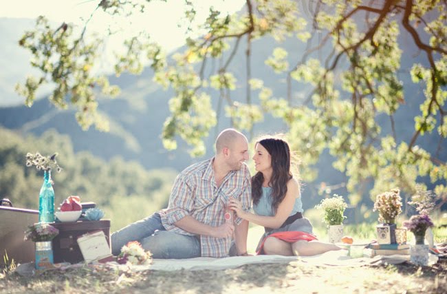 engagement anniversary photos of picnic