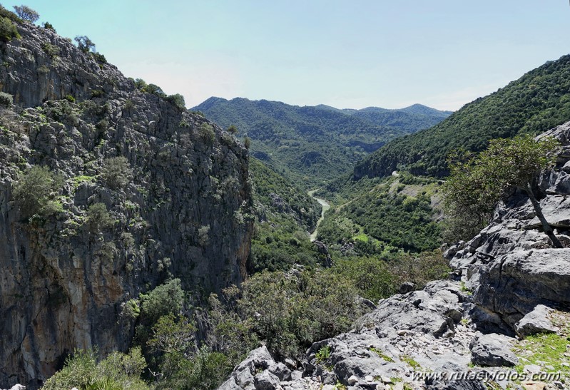 Estación de Cortes - Cañón de las Buitreras - Estación de Gaucín