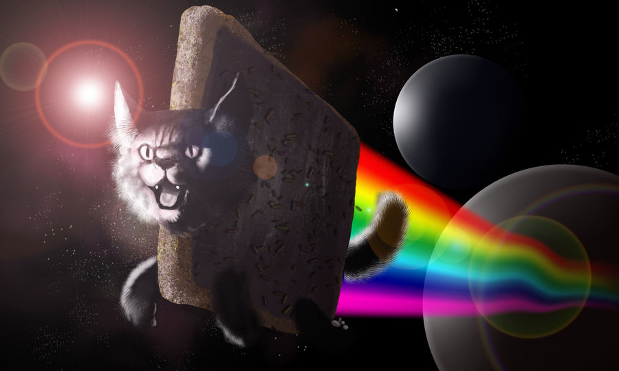 nyan cat 