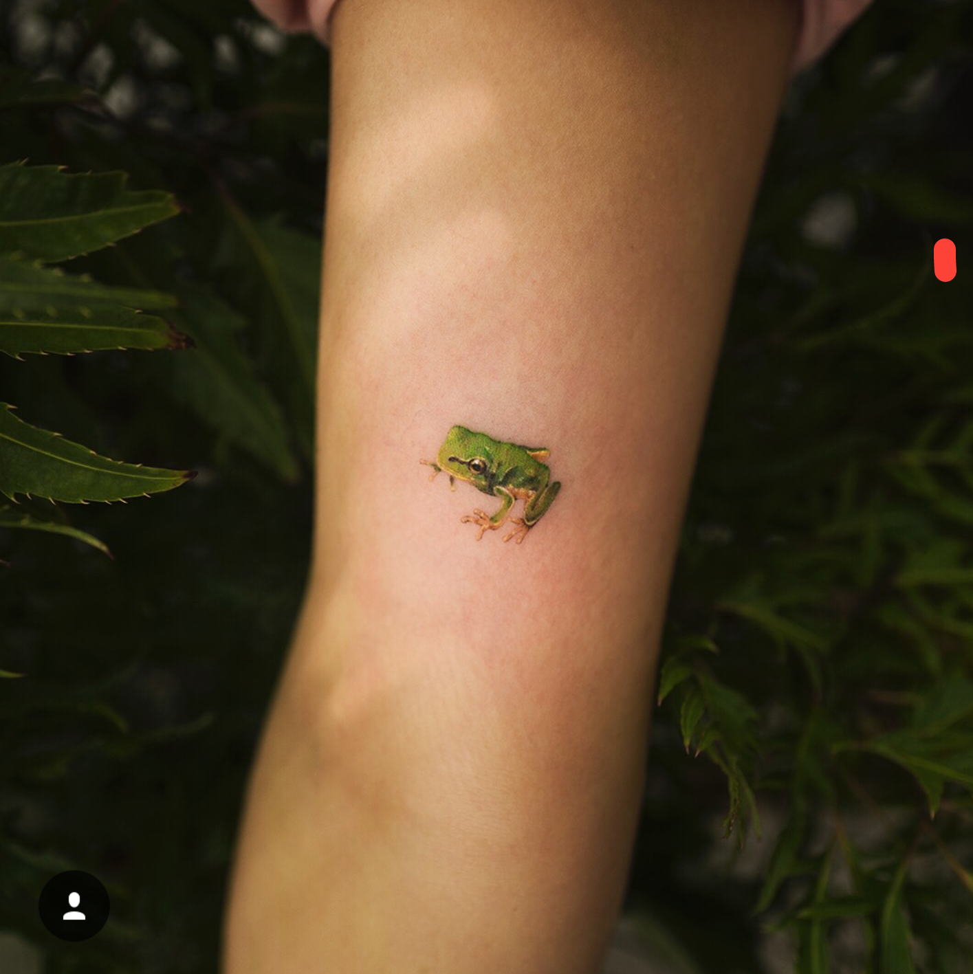 Tatuajes de ranas ideas y simbolismo