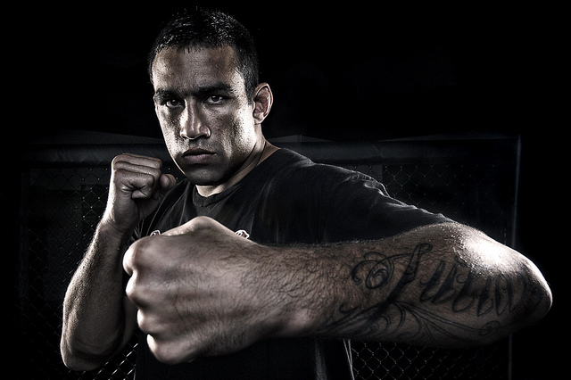 ufc mma heavyweight fighter fabricio werdum picture image