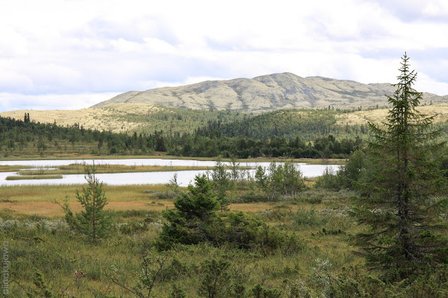 Norwegia - Kinsesasen i Jezioro Kvebergstjonna