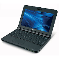 Toshiba Mini Notebook NB255-N246