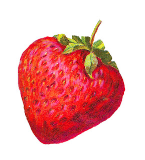 strawberry fruit image berry illustration download