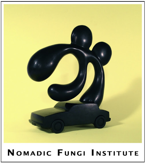 Nomadic Fungi Institute