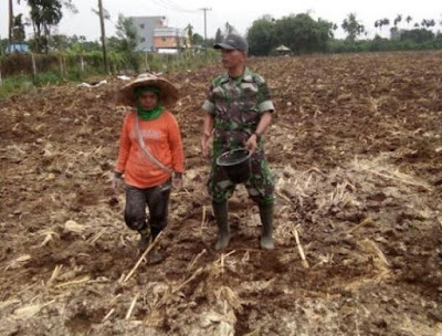  Serka Suyanto dan Serda M.Tampubolon Menanaman Jagung diSunggal