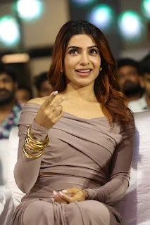 Actress Samantha Stills at Jigra Movie Pre Release