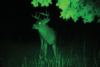 Night Vision for Elk Hunting