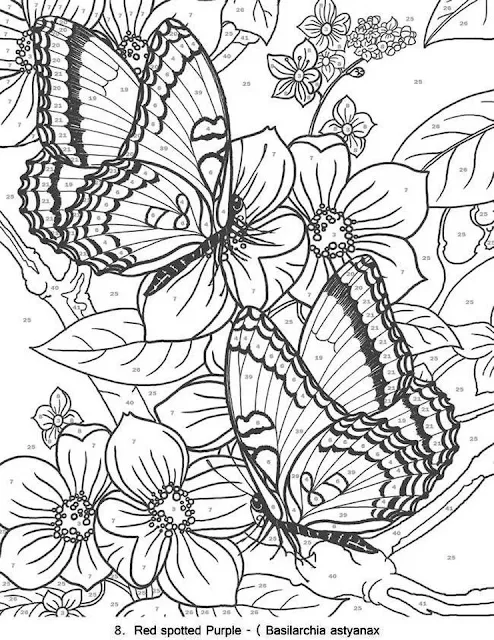 free printable coloring pages for adults advanced butterfly